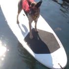 Coastal Maine Kayak