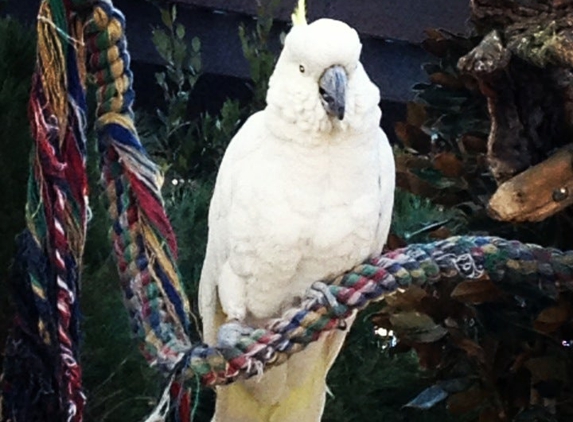 Plant World Nursery - Las Vegas, NV