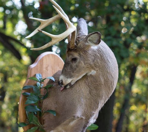 Blair Taxidermy - Tyrone, PA