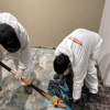 SERVPRO of Aberdeen/Holmdel gallery