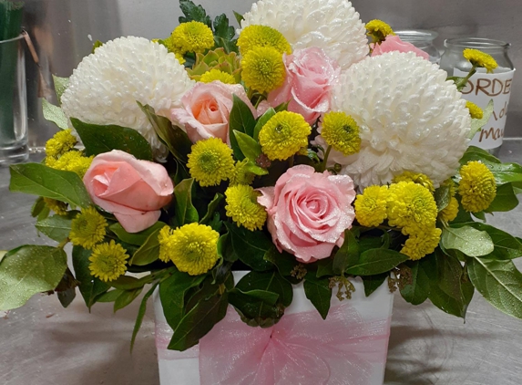 Flower Storm - Laura, SA