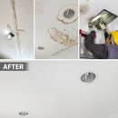 Drywall Kingz
