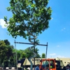 Moon Valley Nurseries gallery