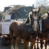 Dollinger Family Farm gallery