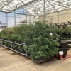 Tractor Supply Co gallery