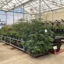 Tractor Supply Co - Garden Centers