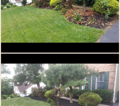 Kingdom Landscaping Est. 2012 LLC - Pottstown, PA