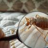All Pest and Termite gallery
