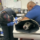 VCA PetMed Animal Hospital