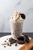 Chill...the Milkshake Bar - American Restaurants