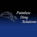 Paintless Ding Solutions, Inc. - Dent Removal