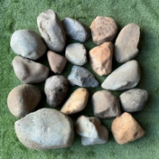 Gallery Image Number 5