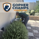 Gopher Champs