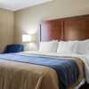 Comfort Inn gallery