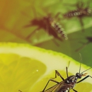 Pest Control KC - Pest Control Equipment & Supplies