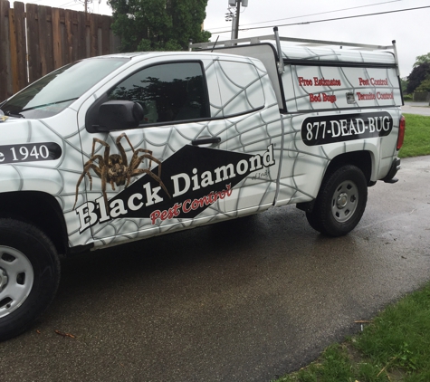 Black Diamond Pest Control of Indy - Indianapolis, IN