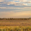 Prairie City Crop Insurance gallery