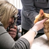 Parkville Animal Hospital gallery
