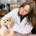 VCA Gateway Animal Hospital