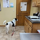Healing Hands Animal Hospital - Veterinarians