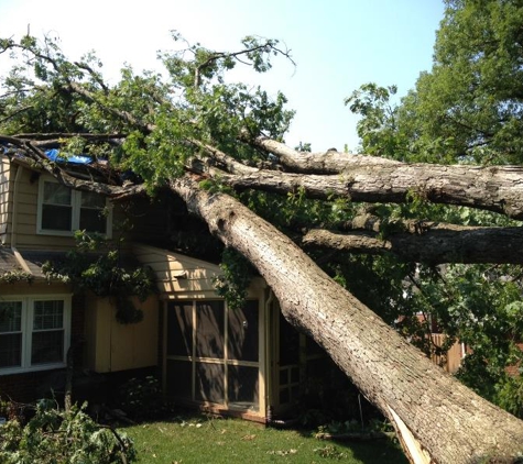 Northeast Tree Services - Stratford, CT