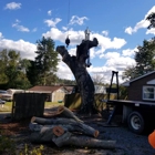 Scott Lanes Tree Service