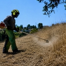 Alex Tree Service - Tree Service