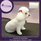 Runway Pet Grooming Inc