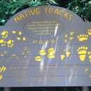 Redwood Creek Challenge Trail - Tourist Information & Attractions