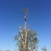 Valley Tree Care gallery