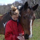 Equestrian Center - Riding Academies