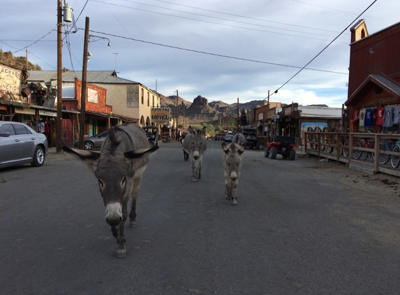 Oatman Hotel - Oatman, AZ