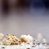 NOLA Pest Control gallery