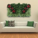 Plant Care InteriorScapes - Plants
