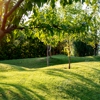 ArborLawn gallery