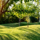 ArborLawn - Arborists