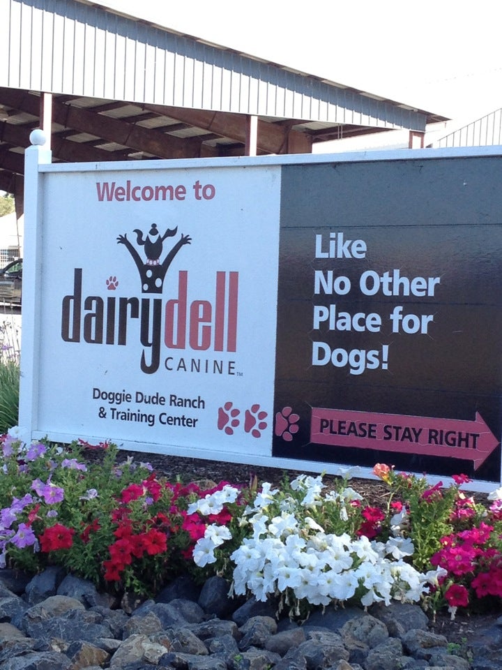 Dairydell boarding shop