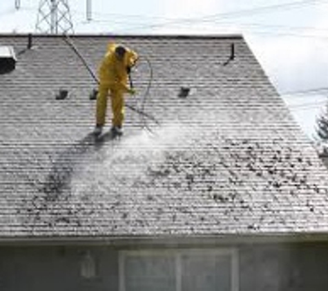 FORCE POWER WASHING - Pasco, WA