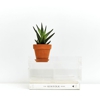 Clarity gallery
