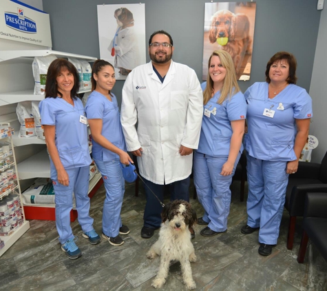 PetCura Animal Hospital Of Livermore - Livermore, CA