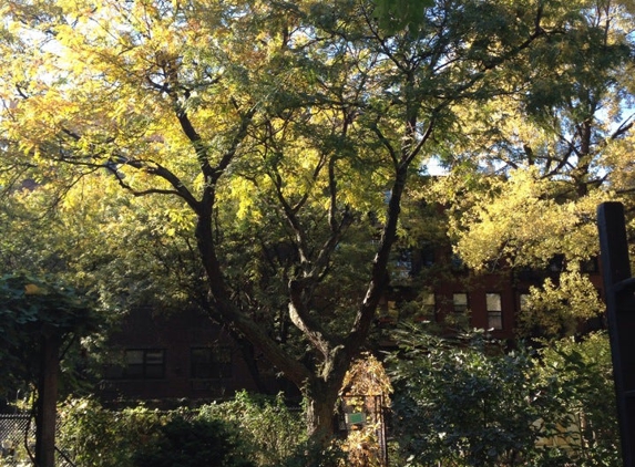 Clinton Community Garden - New York, NY