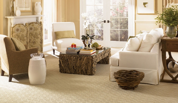 Absolute Carpet & Upholstery Care - Santa Barbara, CA