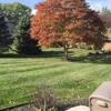 Absolute Lawn Care & Snow Removal gallery