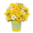 Mountain View Grant Florist - Florists