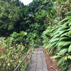 Wahiawa Botanical Garden