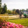 Greenix Pest Control gallery