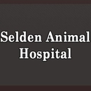 Head to tail animal hospital - Veterinarians