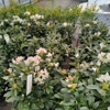 Kurtz Bros. Mulch & Soils gallery