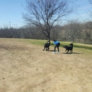 Frisco Dog Park - Dog Parks