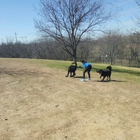 Frisco Dog Park